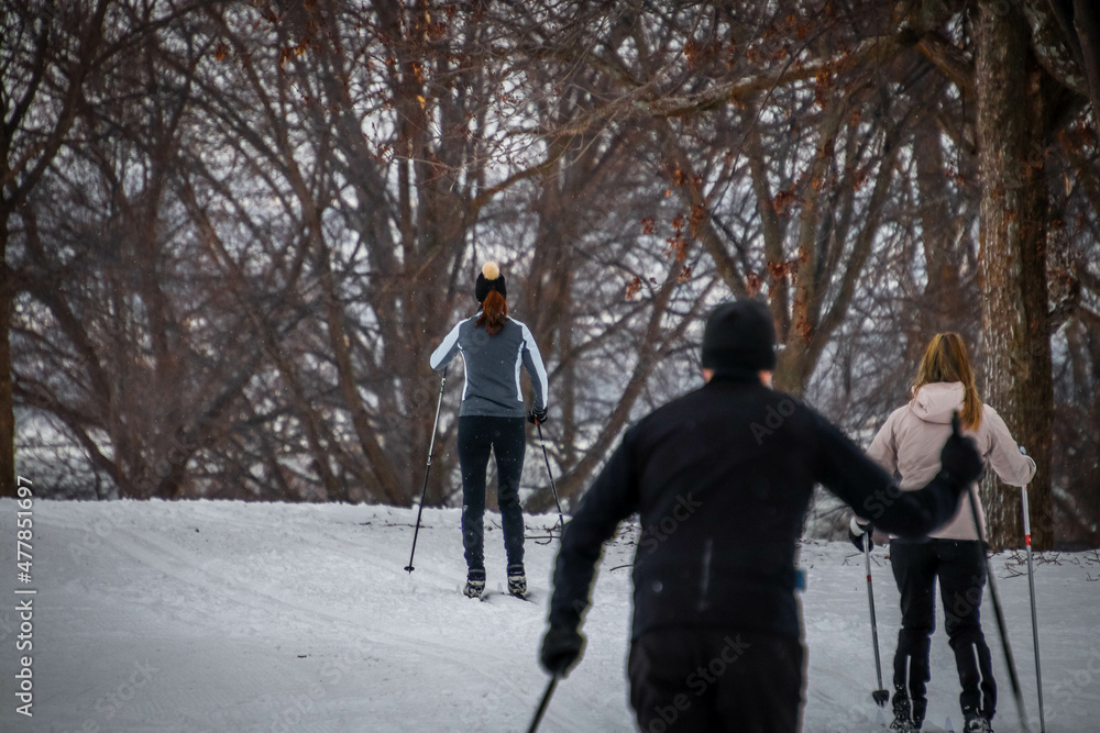 People are cross country skiing in a park in winter People are cross country skiing in a park in winter