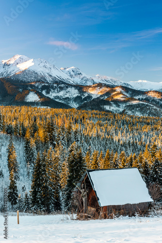 Fototapeta Naklejka Na Ścianę i Meble -  Winter Wonderland in High Tatra Mountains near Zakopane in Poland at Sunrise