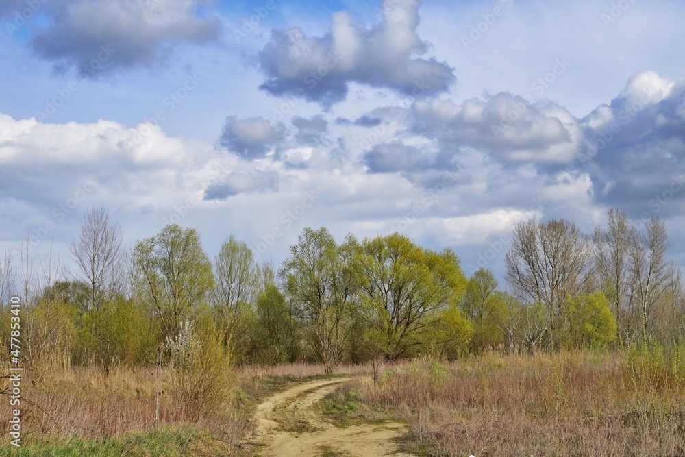 Frühlingslandschaft in Ungarn Nähe Csorna mit dramatischen Wolken