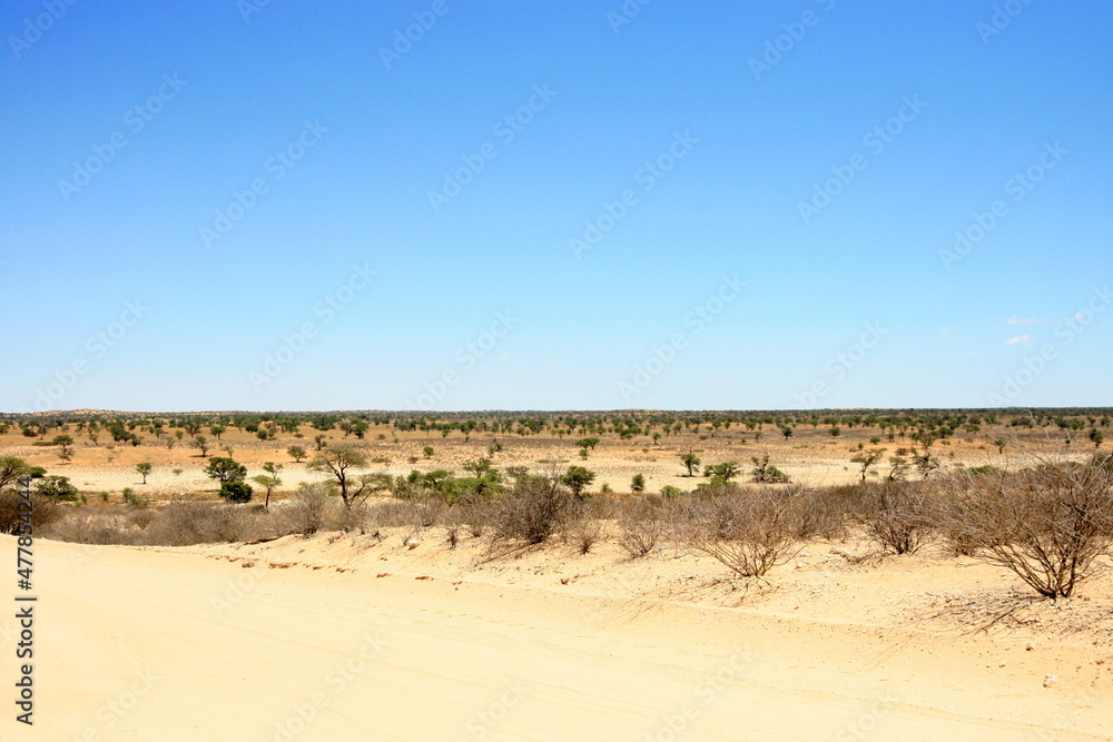 Kgalagadi Landscape Kgalagadi Landscape