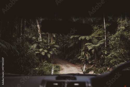 Slika na platnu Veduta della foresta fluviale di Byron Bay dall'automobile.