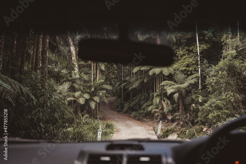 Obraz na płótnie Veduta della foresta fluviale di Byron Bay dall'automobile.