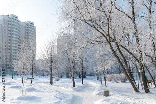 Snow-covered boulevard in microdistrict 20 Zelenograd in Moscow, Russia © olgavolodina