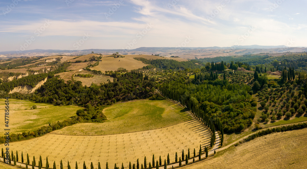 Tuscany panoramic aerial/drone view of cypress road, Siena Italy