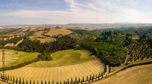 Tuscany panoramic aerial drone view of cypress road  Siena Italy