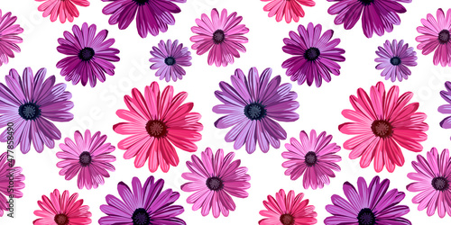 Gerbera flower seamless pattern