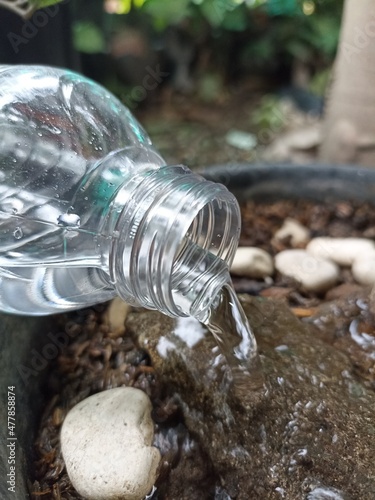 bottle of water