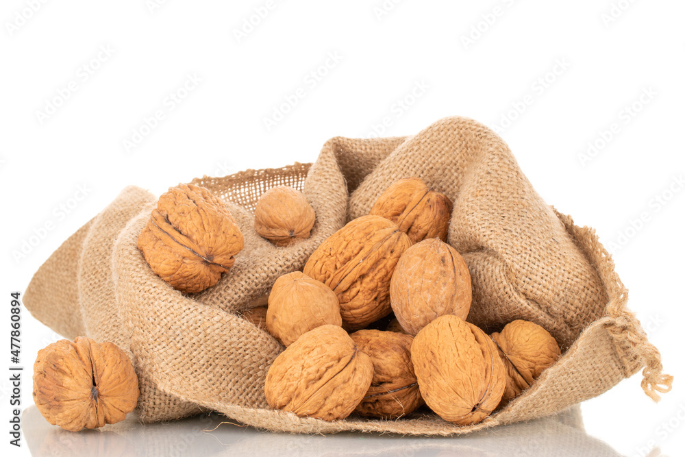 Several ripe delicious walnuts in a jute bag, close-up, isolated on white. Several ripe delicious walnuts in a jute bag, close-up, isolated on white.