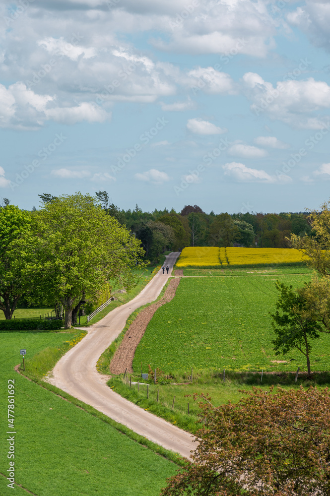 Two people walking along a rural gravel road in springtime farmland landscape in Skåne Sweden