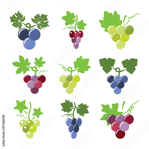 vector colorful icons of grapes