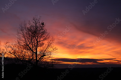 Late autumn sunset in Westchester County  New York