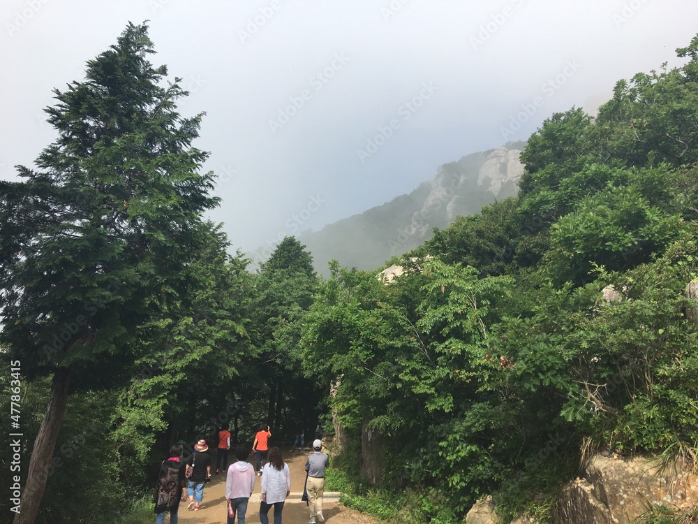 Naklejka premium 남해 여행