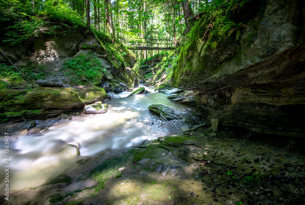 creek in the gorge in the forest