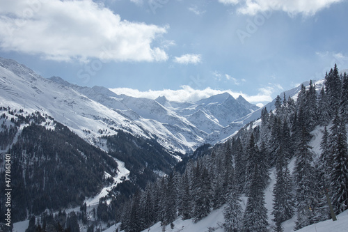 snow mountain panorama with forest in alps
