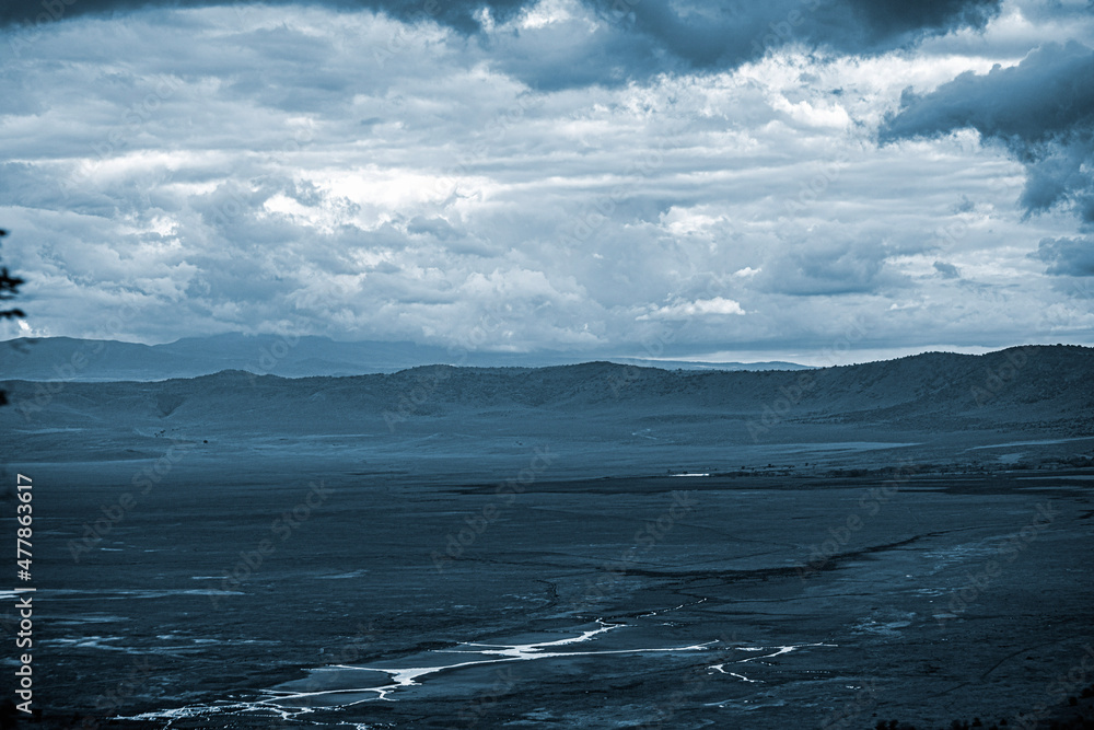 wild tanzanian animals in ngorongoro africa