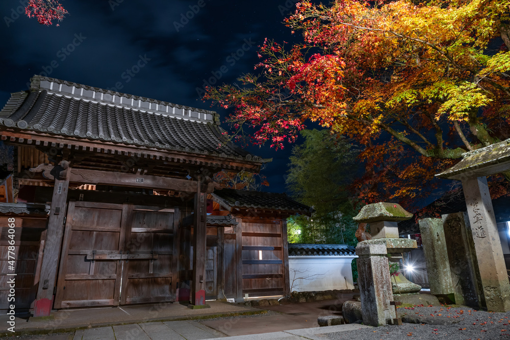 静岡県伊豆市修善寺 紅葉シーズンの修禅寺(夜) 静岡県伊豆市修善寺 紅葉シーズンの修禅寺(夜)
