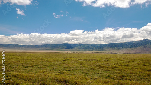 wildlife and animals in tanzania safari ngorongoro