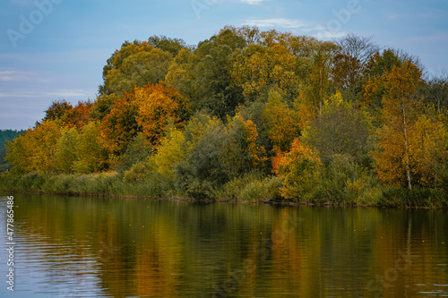 autumn in the park