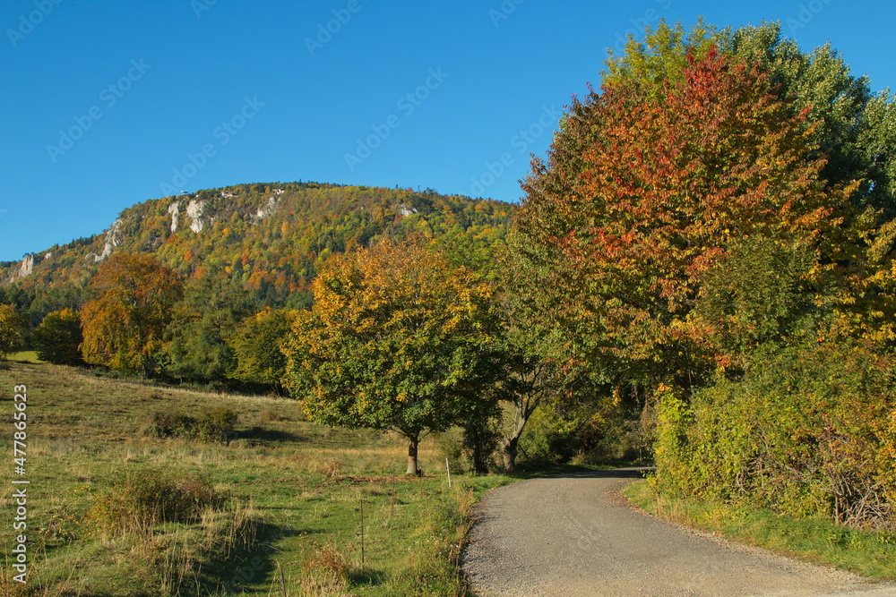 Naklejka premium View of Hohe Wand from Dreistetten,Lower Austria,Austria, Europe