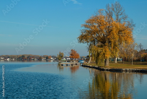 Autumn at Neufelder Lake in Neufeld an der Leitha, Burgenland, Austria, Europe 