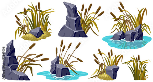 Marsh yellow reed, grass, stone in pond. Set of swamp cattails, rock in lake. Vector withered bulrush in autumn for computer games isolated on white background.