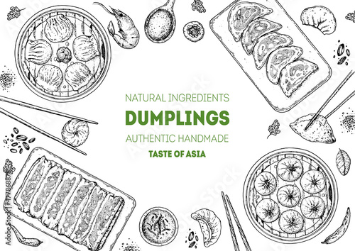 Dumplings top view frame. Food menu design template. Hand drawn vector illustration. Chinese dumplings. Vintage illustration. Hand drawn food sketch. Design template.