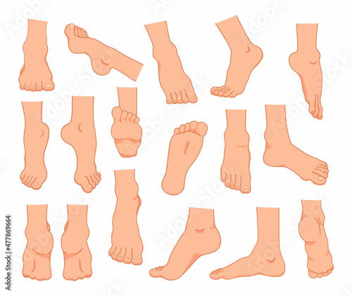 Cartoon feet. Men and women barefoot ankles and fingers. Legs positions. Caucasian person limbs. Bare toes with nails and heels. Slender sole. Vector human body anatomy elements set photo