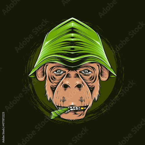 monkey head detail illustration smoking and wearing a hat