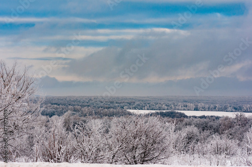 Winter forest in the village of Sosnovy Solonets, Samarskaya Luka National Park! © Viktor