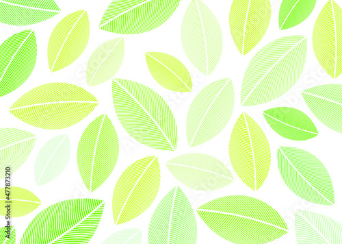 葉柄の背景素材