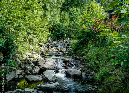 Kleiner Bach im Wald 