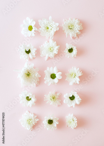 Frame rectangle made of white flowers on a pink background. Valentines day aesthetic spring concept.