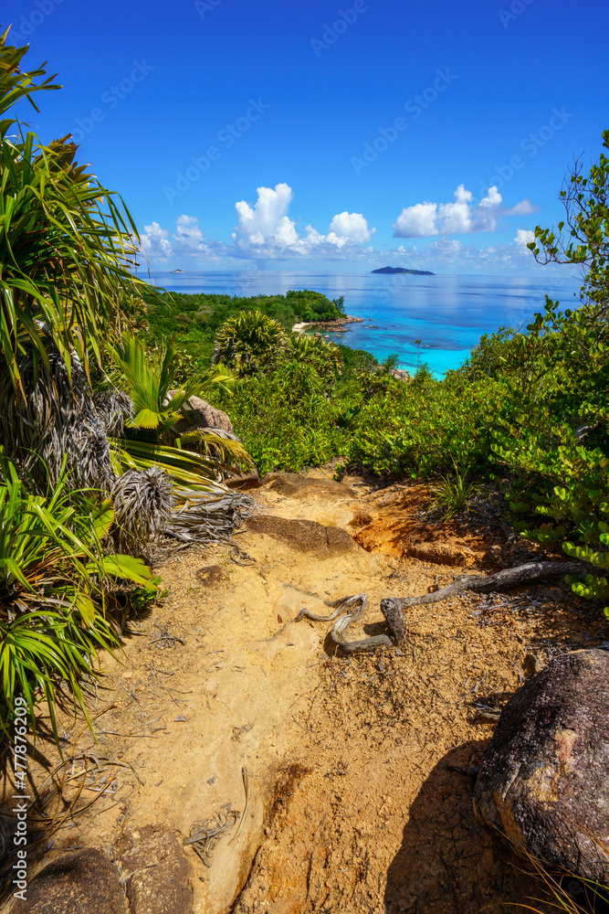 hikink through the jungle on curieuse island on the seychelles hikink through the jungle on curieuse island on the seychelles