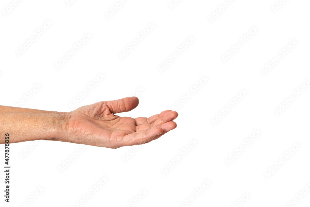 An old wrinkled palm extending forward, a woman begs for alms. Isolated on white background with copy space An old wrinkled palm extending forward, a woman begs for alms. Isolated on white background with copy space