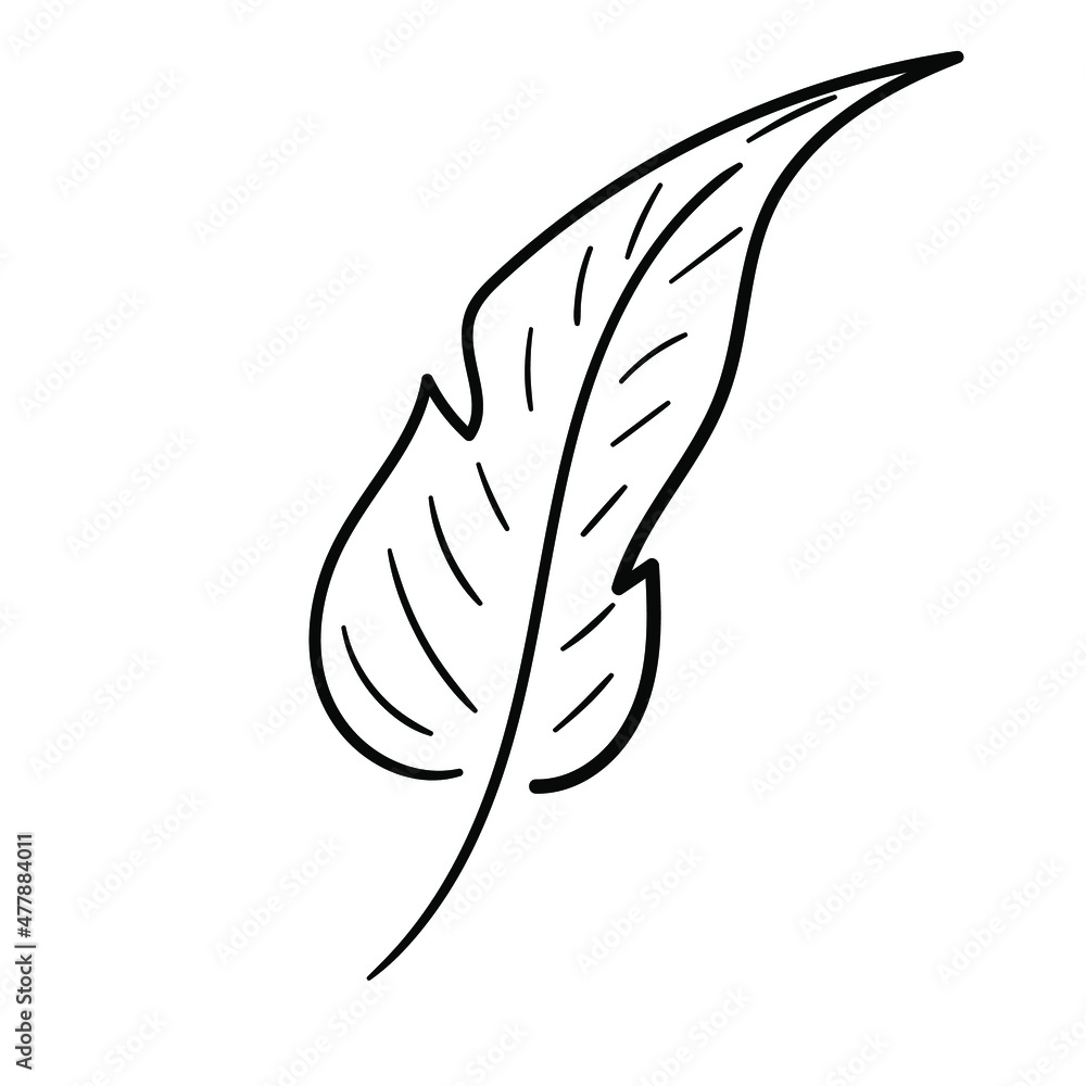 Hand drawn leaf. Doodle line palm leaf icon. Sketch black and white plant branch. Vector line art illustration isolated on white background. Hand drawn leaf. Doodle line palm leaf icon. Sketch black and white plant branch. Vector line art illustration isolated on white background.