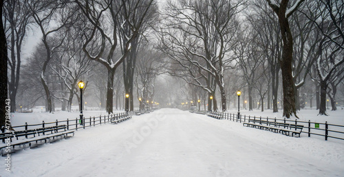 Photography Central Park the Mall