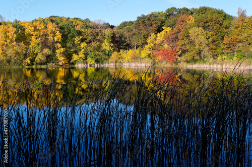 marthaler pond autumn morning photo