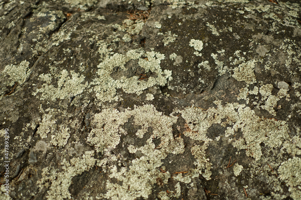 texture of rock texture of rock