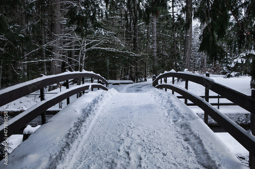 Colliery Dam Park, nanaimo, footpath under a blanket of snow in december 2021