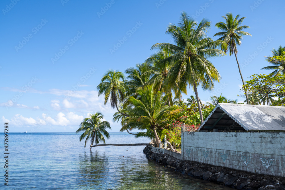 Beach with palm trees on Moorea island, French Polynesia
