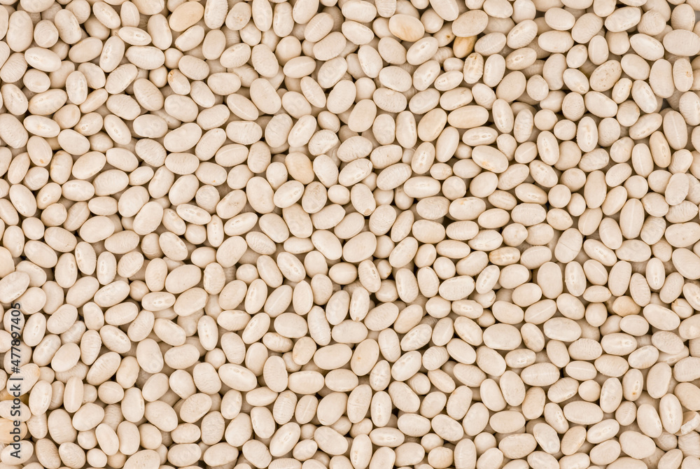 Food background of healthy dried white beans Food background of healthy dried white beans