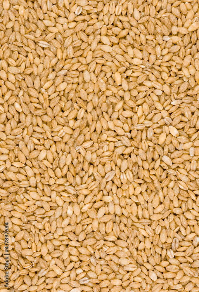Pearl barley healthy food for diet. Pearl barley healthy food for diet.