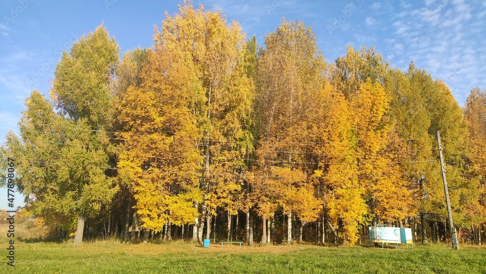 autumn in the park