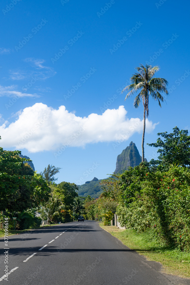 Naklejka premium Main road along Moorea island with Mou'a Roa in the background, French Polynesia