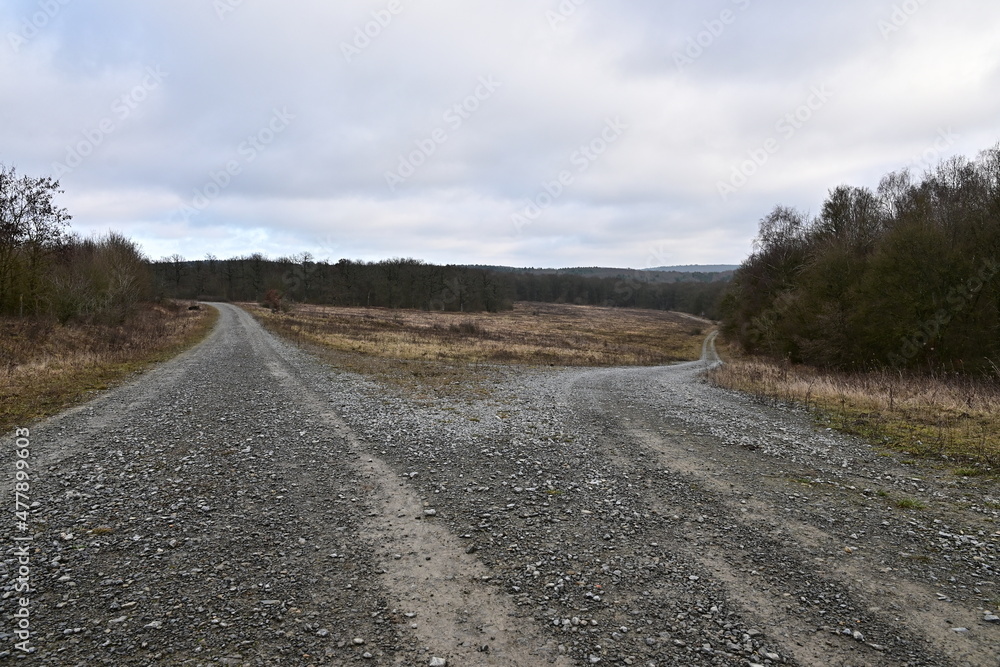 Brönnhof bei Schweinfurt Wanderweg mit Weggabelung im Ehemaliger US-Standortübungsplatz, Franken, Bayern, Deutschland