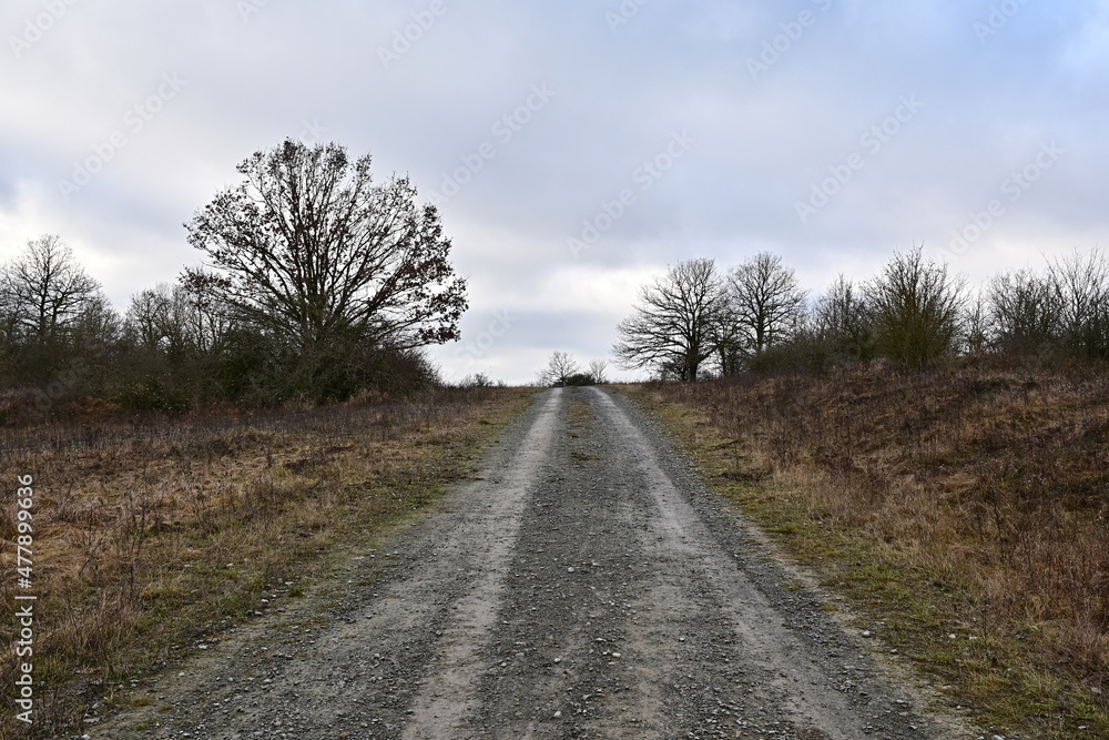 Wanderweg im Ehemaliger US-Standortübungsplatz Brönnhof bei Schweinfurt Wanderweg im Ehemaliger US-Standortübungsplatz Brönnhof bei Schweinfurt