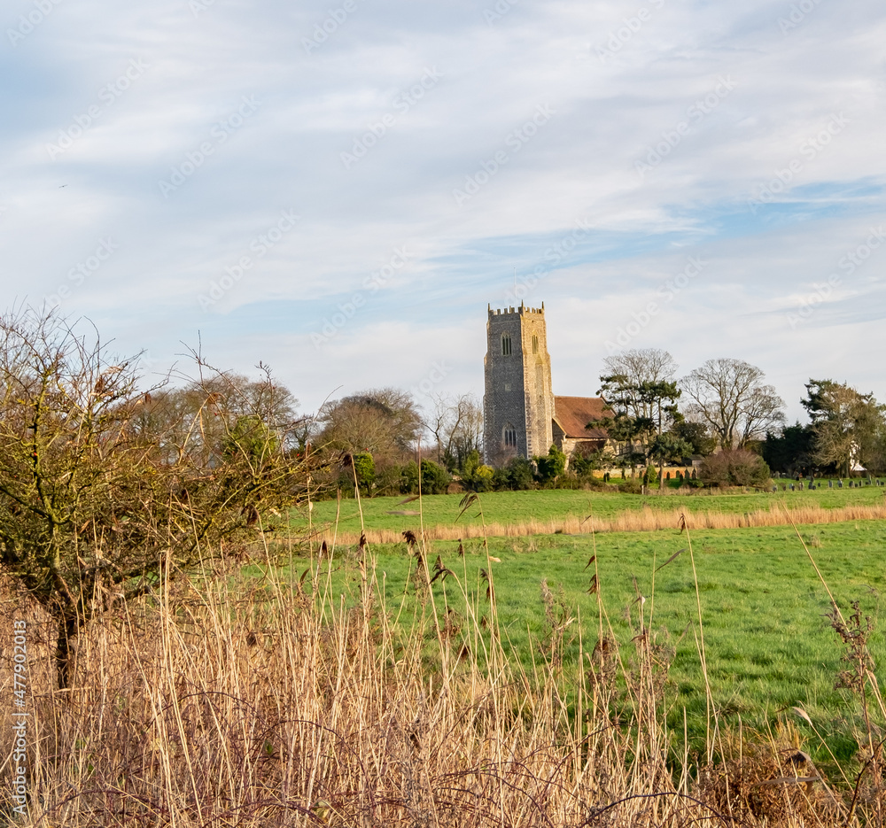 Reedham, Norfolk, UK – January 2022. View across reeds, lush green fields and lush green fields towards Reedham church in the Norfolk countryside.