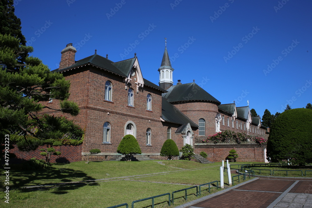 Fototapeta premium castle in the country