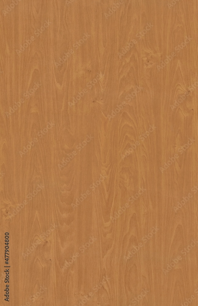 wood, texture, wooden, wall, plank, pattern, brown, board, floor, timber, surface, textured, old, panel, material, tree, rough, fence, natural, structure, hardwood, vintage, parquet, pine, design wood, texture, wooden, wall, plank, pattern, brown, board, floor, timber, surface, textured, old, panel, material, tree, rough, fence, natural, structure, hardwood, vintage, parquet, pine, design