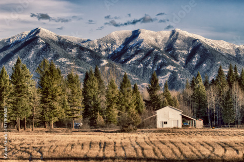 Great State of Montana photo
